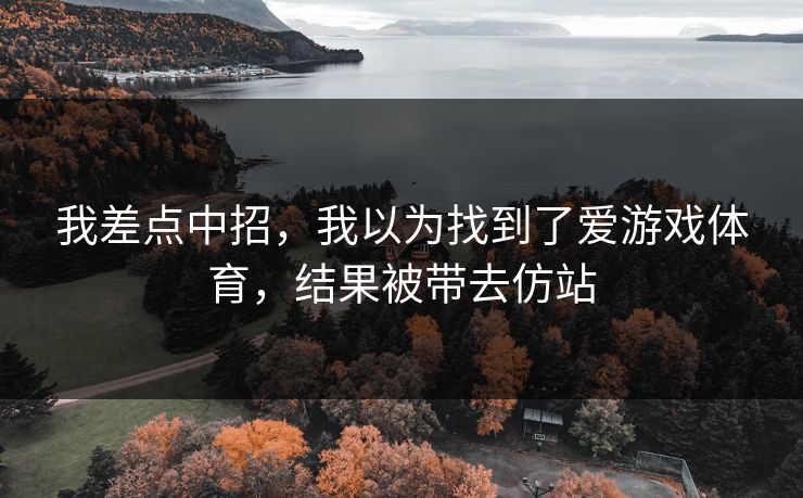 我差点中招，我以为找到了爱游戏体育，结果被带去仿站