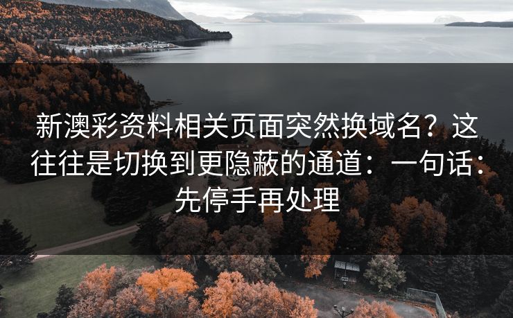 新澳彩资料相关页面突然换域名？这往往是切换到更隐蔽的通道：一句话：先停手再处理