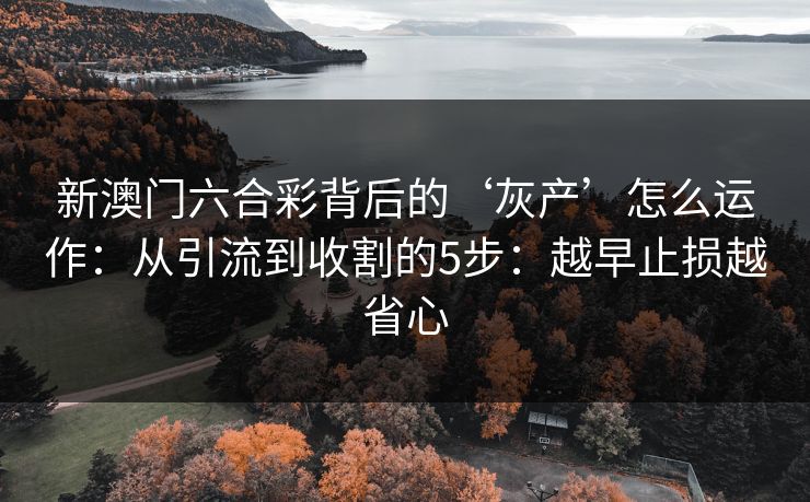 新澳门六合彩背后的‘灰产’怎么运作:从引流到收割的5步:越早止损越省心 新澳门六合彩背后的‘灰产’怎么运作:从引流到收割的5步:越早止损越省心